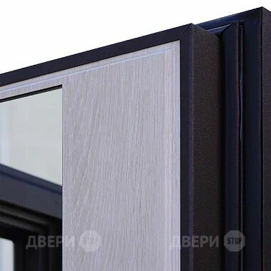 Входная металлическая Дверь Шелтер (SHELTER) Филадельфия Зеркало в Павловском Посаде