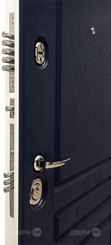 Входная металлическая Дверь Сударь МД-45 в Павловском Посаде