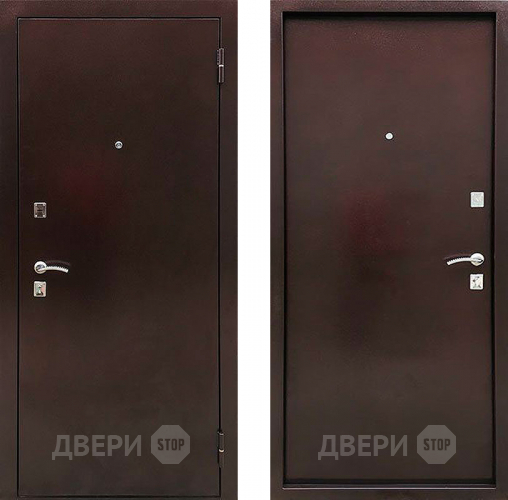 Дверь Ратибор Дачная металл/металл в Павловском Посаде