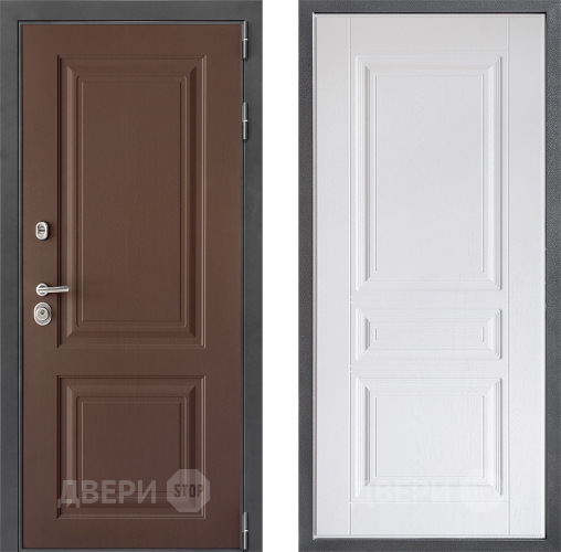 Входная металлическая Дверь Дверной континент ДК-3/729 ФЛ-243 Альберо Браш серебро в Павловском Посаде