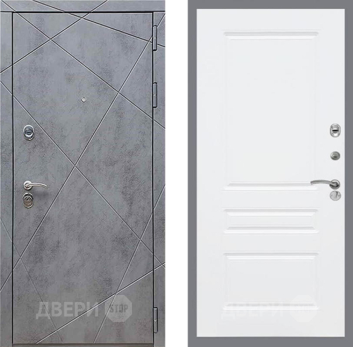 Входная металлическая Дверь Рекс (REX) 13 Бетон Темный FL-243 Силк Сноу в Павловском Посаде